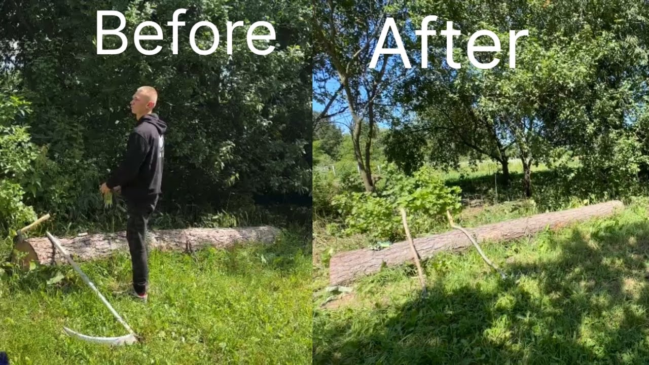 Bushcraft Garden Clearing | Axe & Scythe Manual Work at Off Grid Cabin