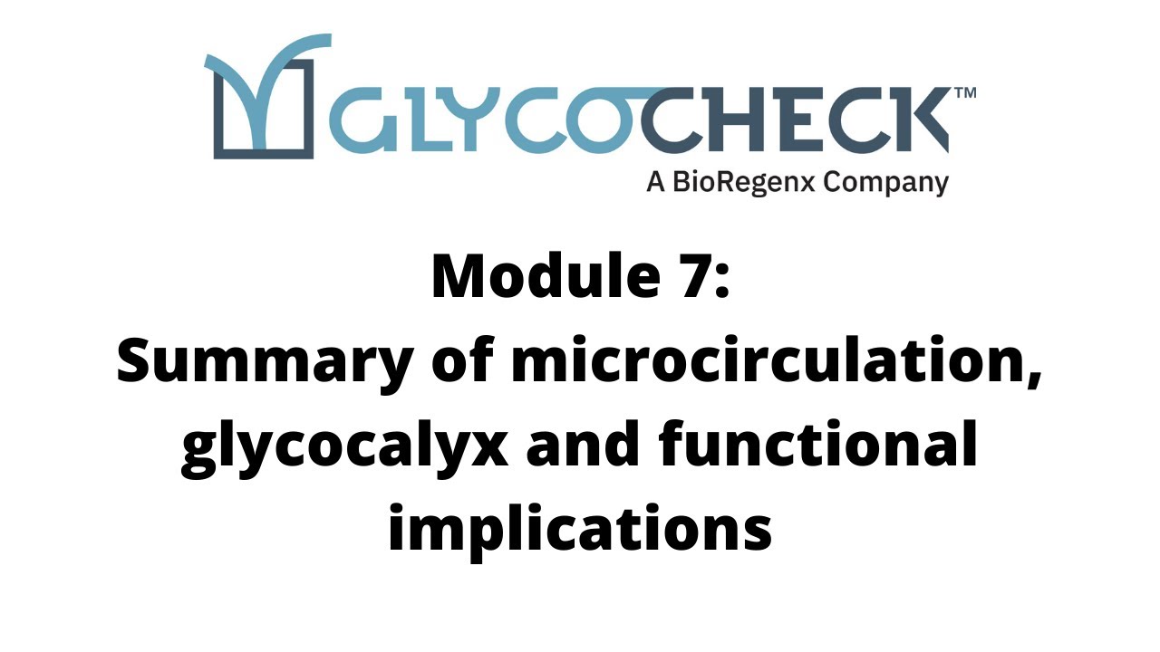 Summary of microcirculation, glycocalyx and functional implications