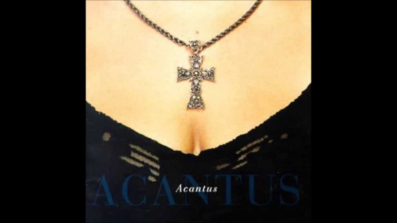 Acantus-Quasi Cedrus
