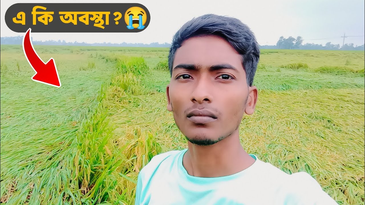 শুধু এক রাতে কি হয়ে গেল😭 #agriculture #rain #villagelife | Sohag Kakku