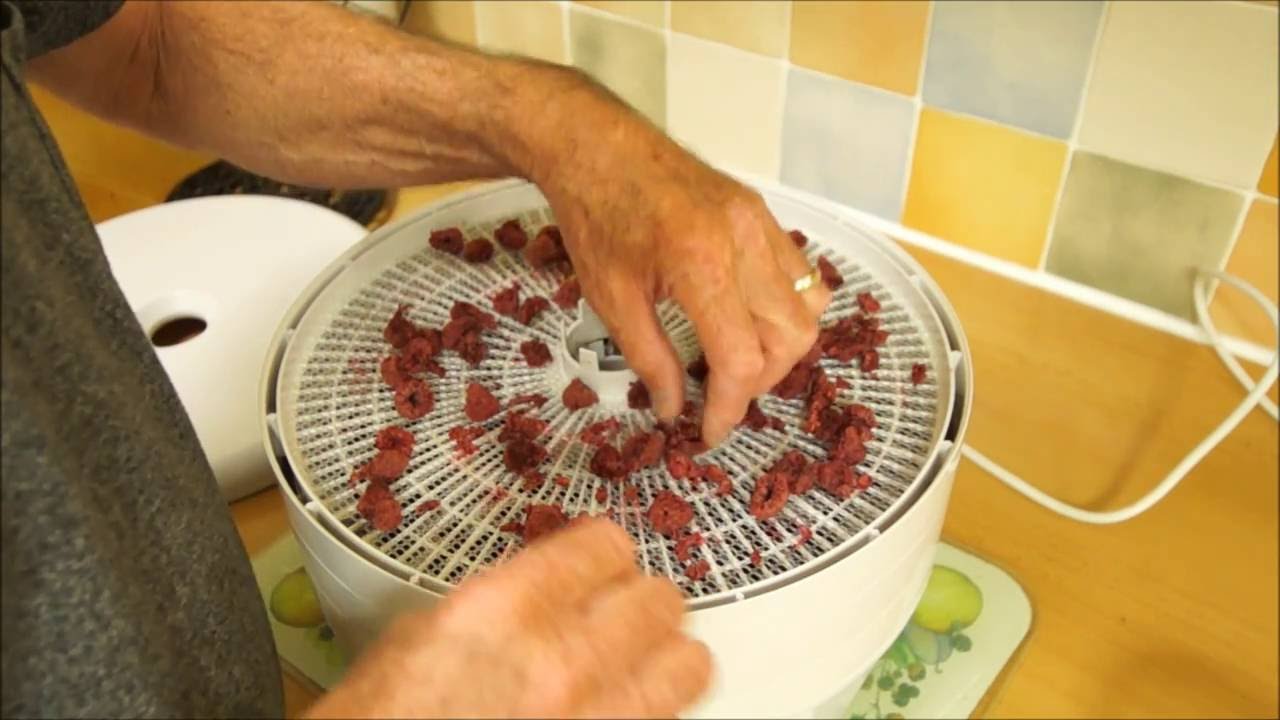 Ezidri Snackmaker Dehydrating Fruit For Wild Camping