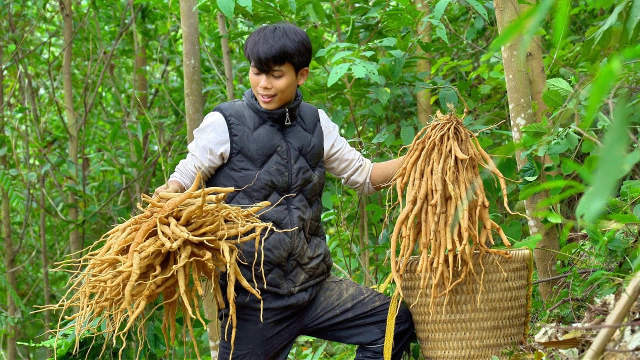 Helping a Lonely Elderly Woman with Leg Pain — Peaceful Kindness in the Cold Mountains. Trieu Lam