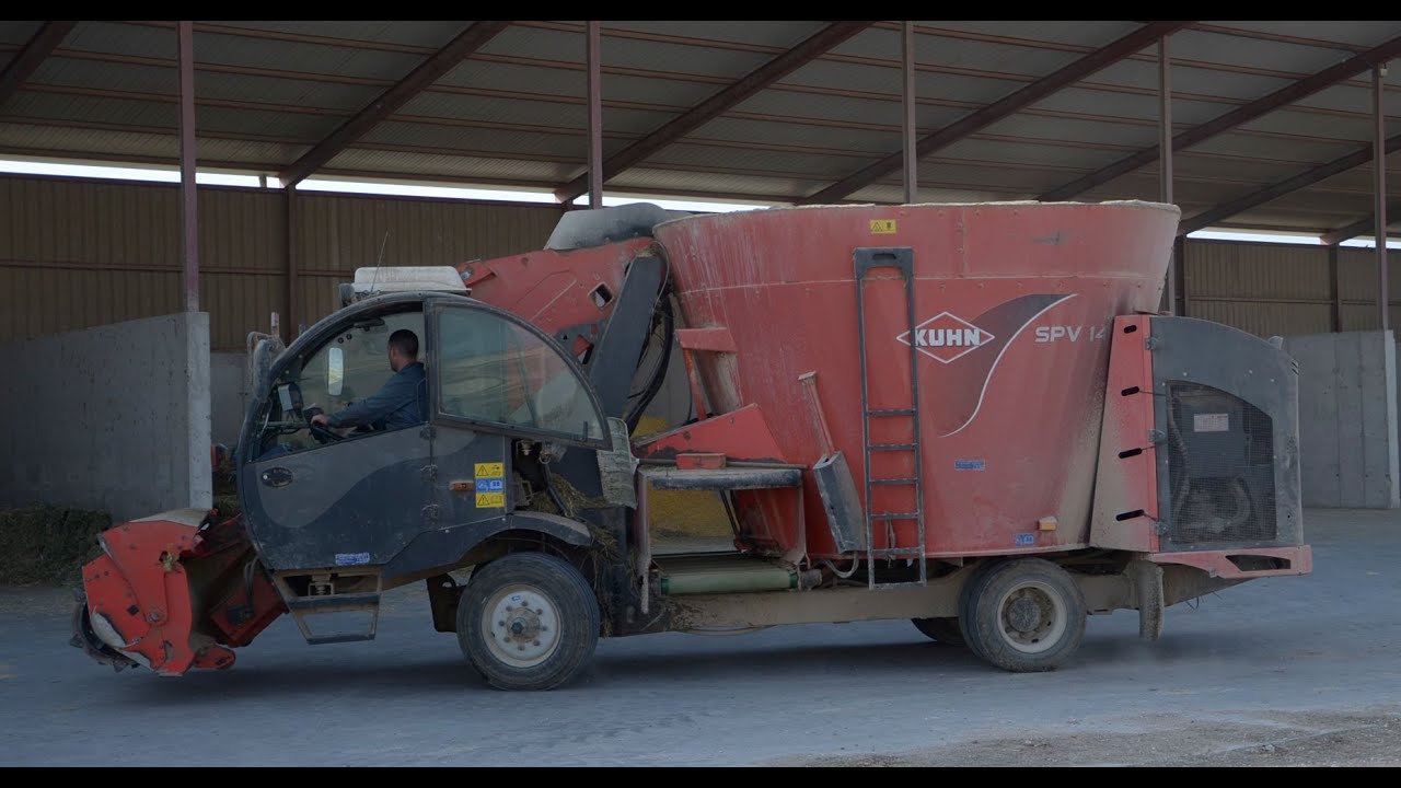 Mezclador autopropulsado Kuhn SPV 14. Echando comida a las vacas