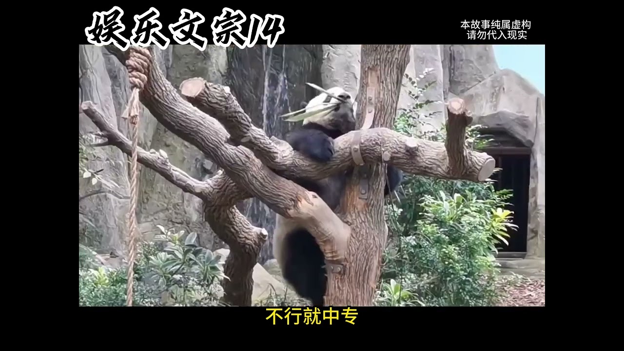 《娱乐文宗》@番茄小说  少年意外穿到高考作文现场，以一篇滕王阁序提前交卷，阅卷当日却惊动整个教育局。云逸国道，云逸国道后续，云逸国道全集，云逸国道小说，云逸国道一口气看完，云逸国道完整版，云逸国道