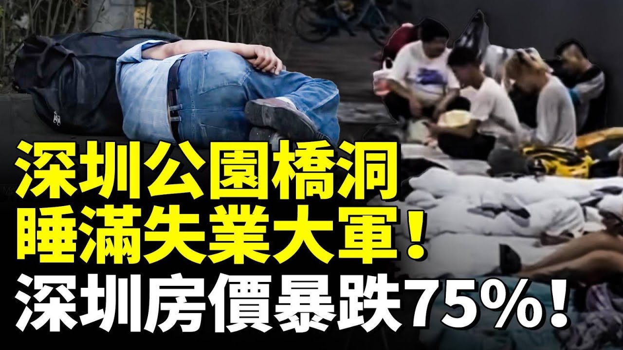 深圳撐不下去了！公園、橋洞睡滿失業大軍！深圳房價暴跌75%！　#看大陸