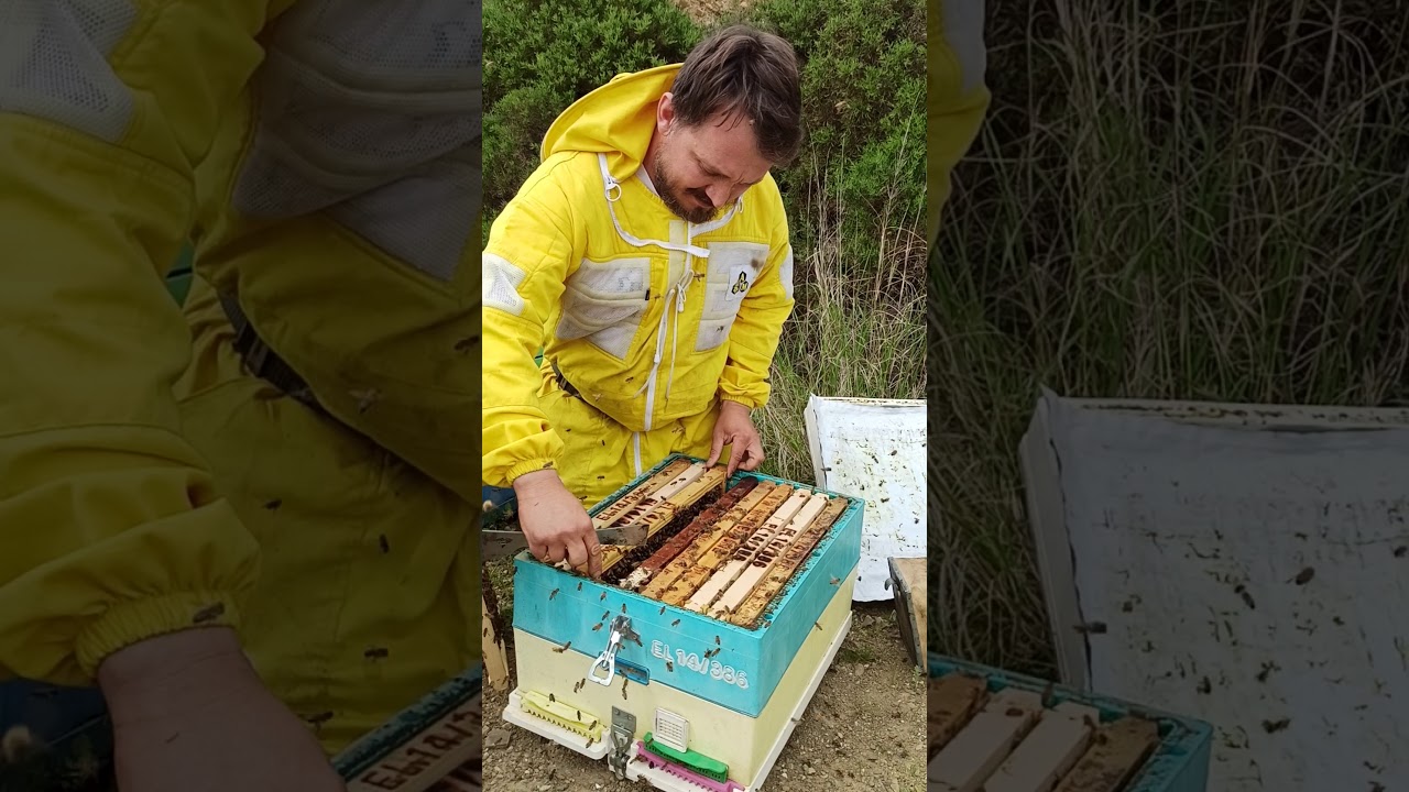 Επιθεώρηση   στα μελίσσια στα  Ρείκια 14/4/2020