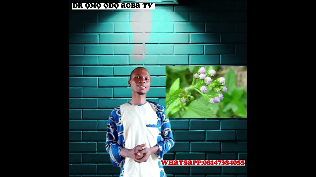 Turari/Ọsẹ/Ipara Eyonu awon agba 100% @Dromoodoagbatv #tips #viral #subscribe #youtube #youtuber