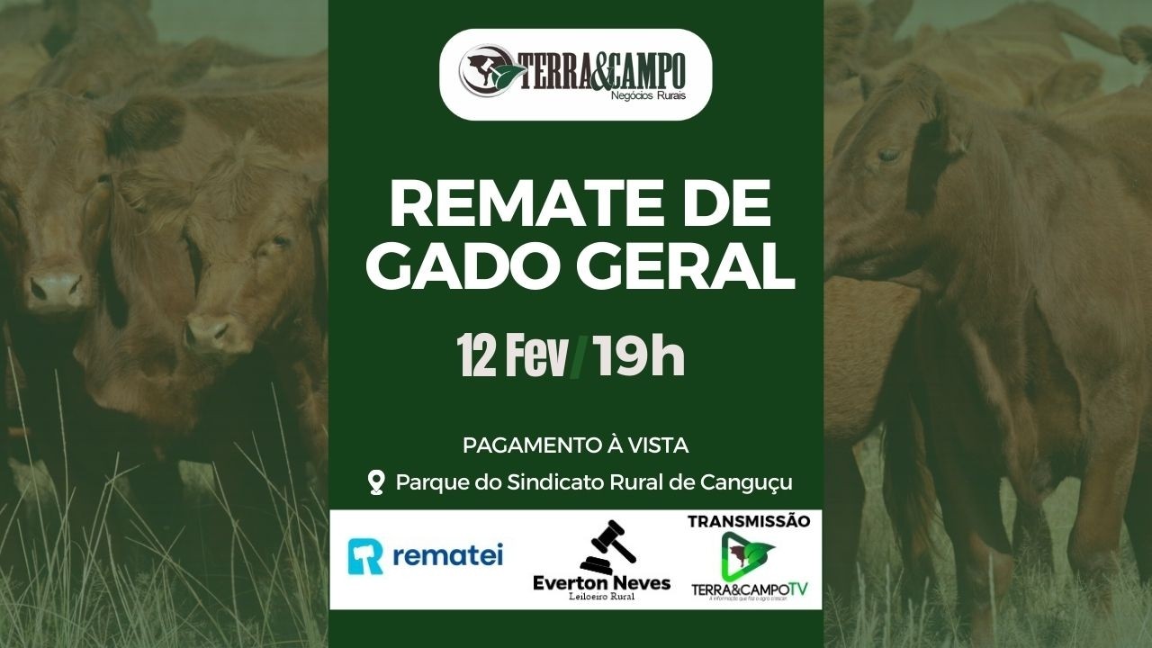 REMATE DE GADO GERAL | - CANGUÇU |  TERRA&CAMPO NEGÓCIOS RURAIS.