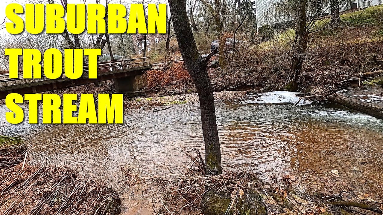 Backyard Brown Trout - Fishing a Suburban New Jersey Creek