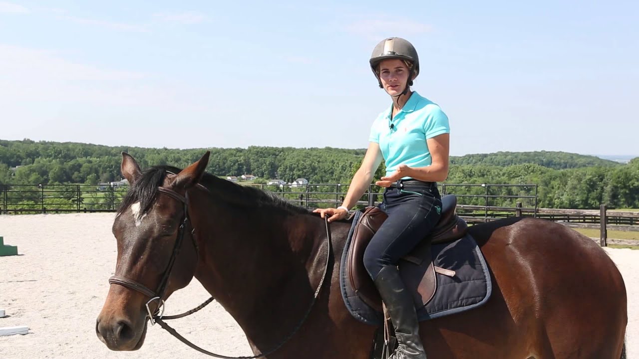 Starting a Young Horse Over Jumps
