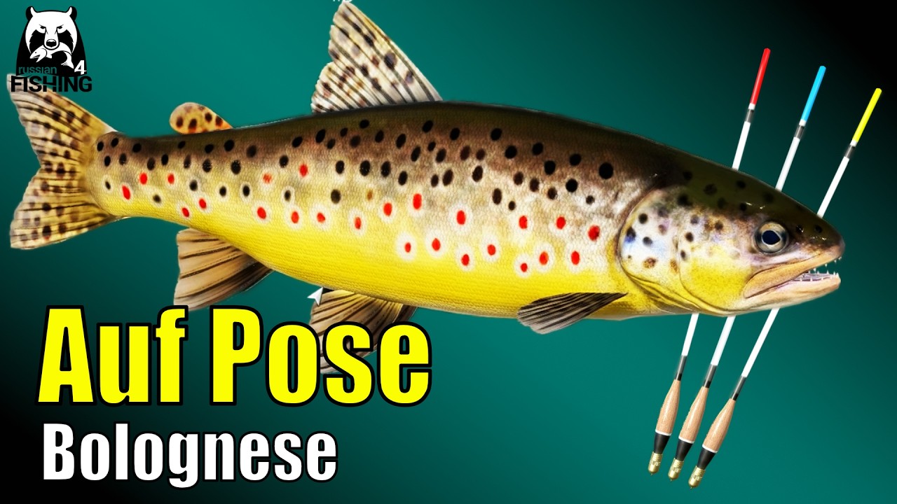 Russian Fishing 4 - Belaja - Bachforelle auf Pose! Bolognese angeln #rf4