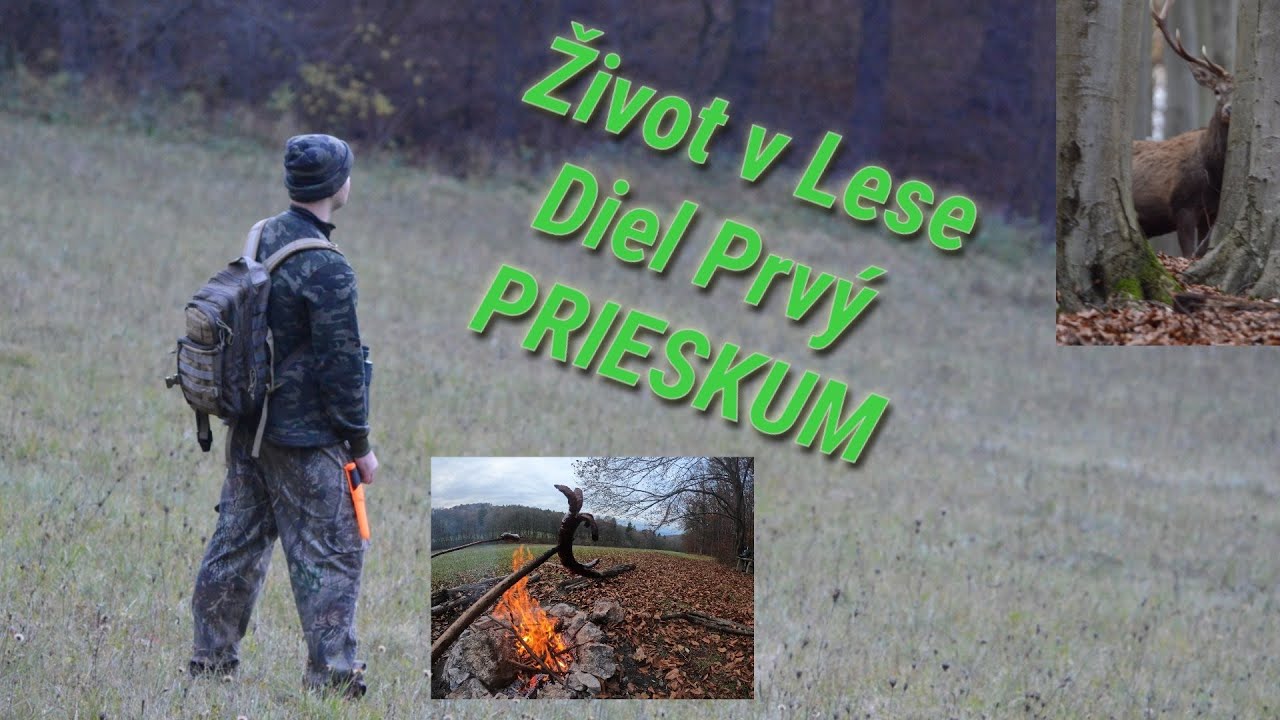 Život v Lese - Prieskum