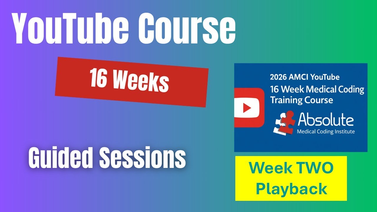 YouTube Guided Course Week 2