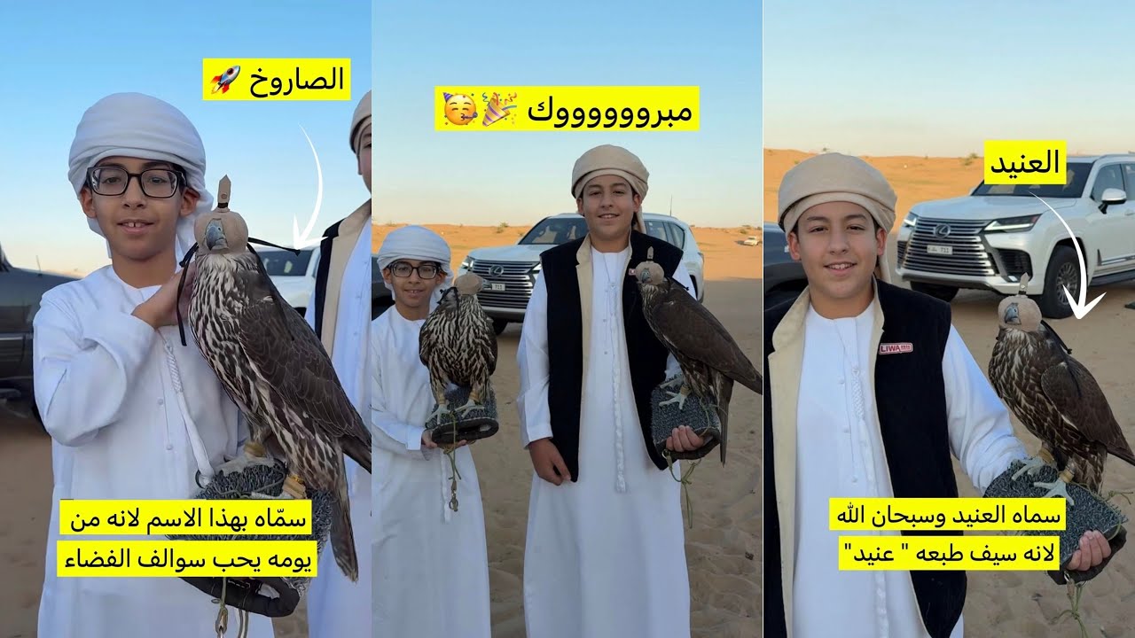 سنابات علي الكتبي 🇦🇪 صقور سيف وسعيد الجديدة 🦅 وقت اختيار الطير للعيال 😂 تسمية الطيور صاروخ وعنيد 😂🔥
