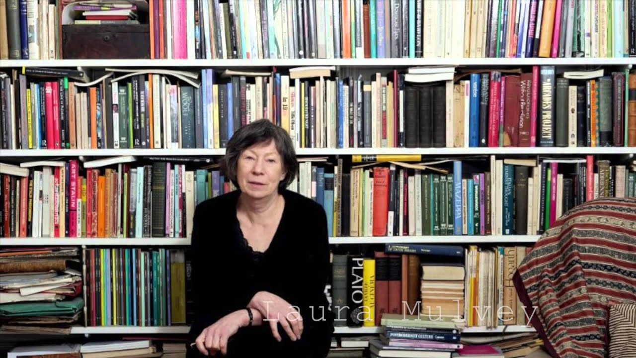Feminist Film Theory (film studies documentary)
