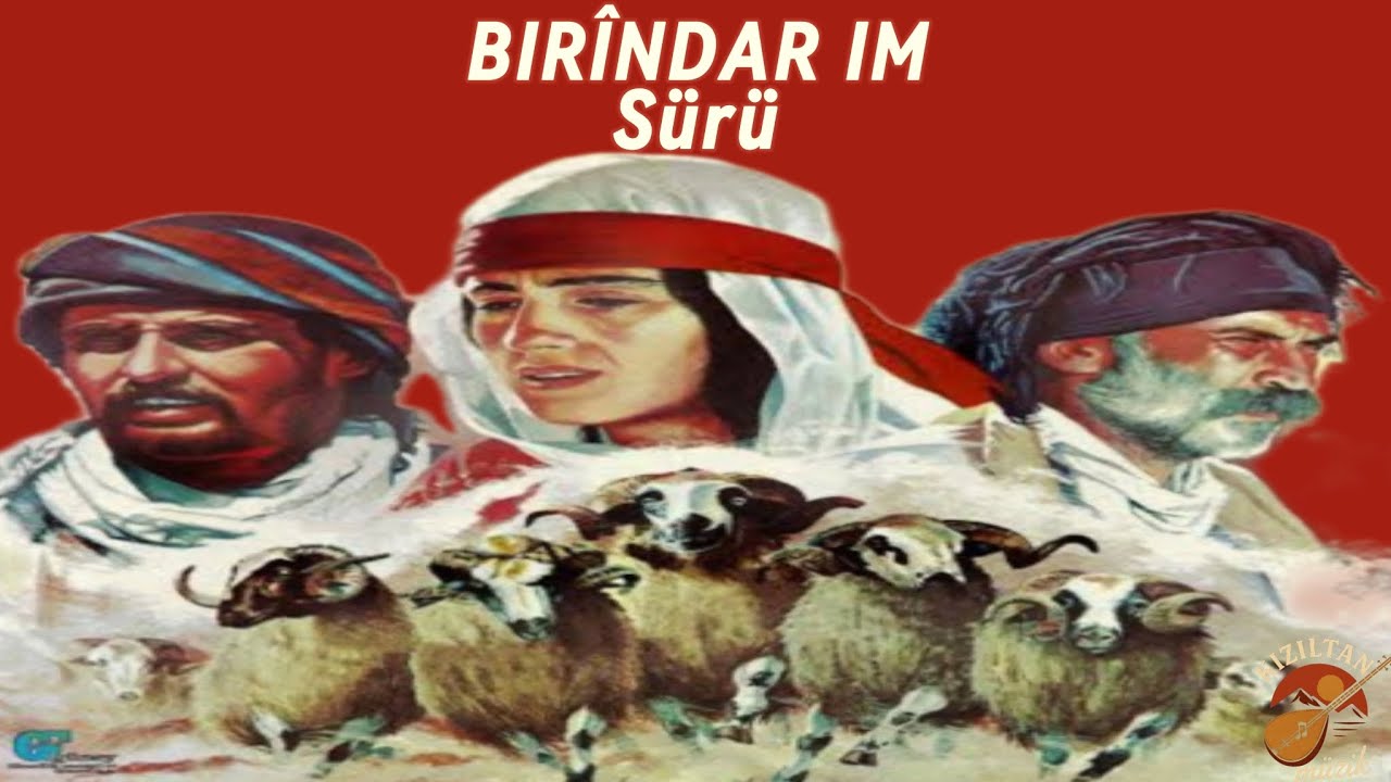 Birîndar im - Sürü