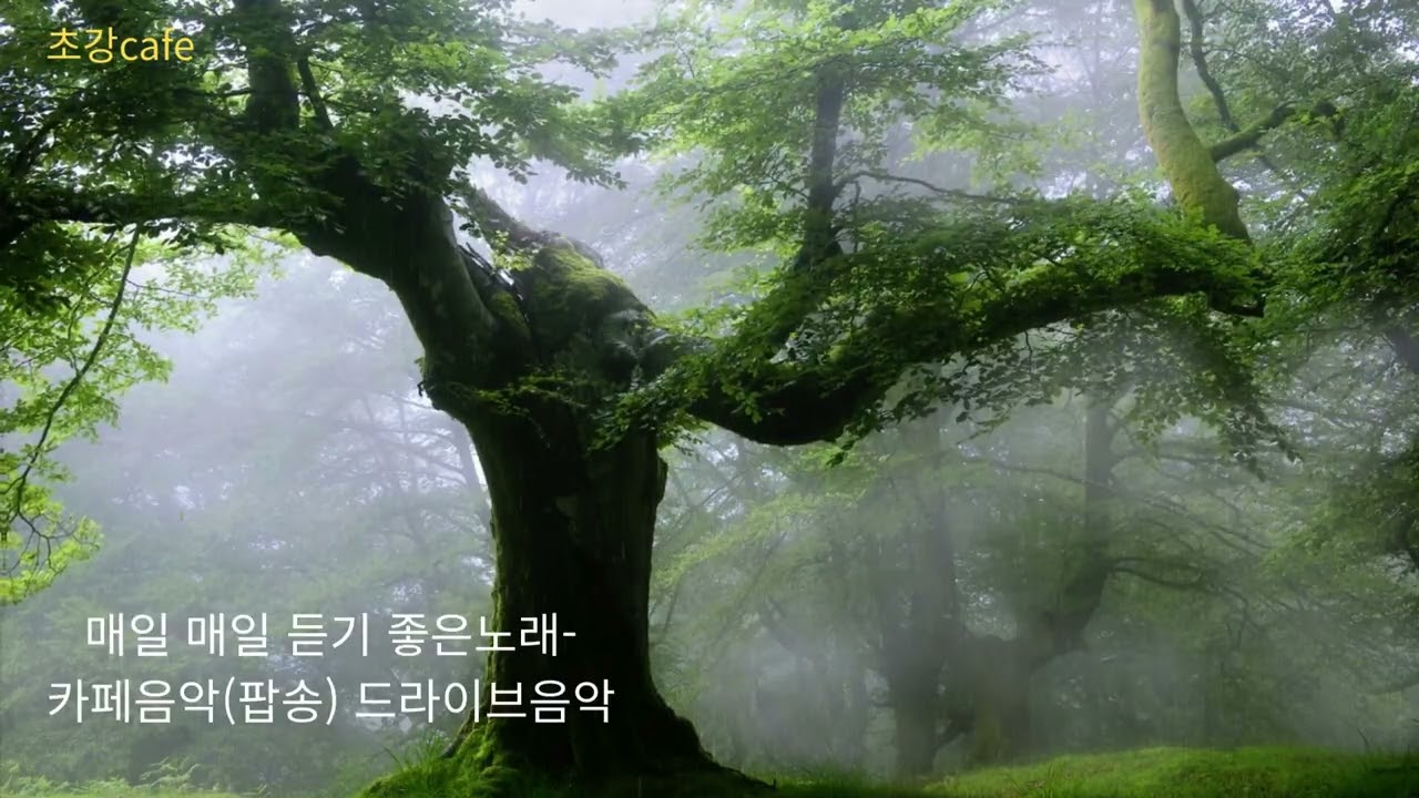 매일 듣기 좋은 노래 - (중간광고 없는)카페에서 듣기 좋은 노래 모음 | 혼자 듣기 좋은 포근한 카페음악 | 그냥 틀어 놓기 좋은 카페 음악 (일할 때, 작업할 때,운전시) 팝송