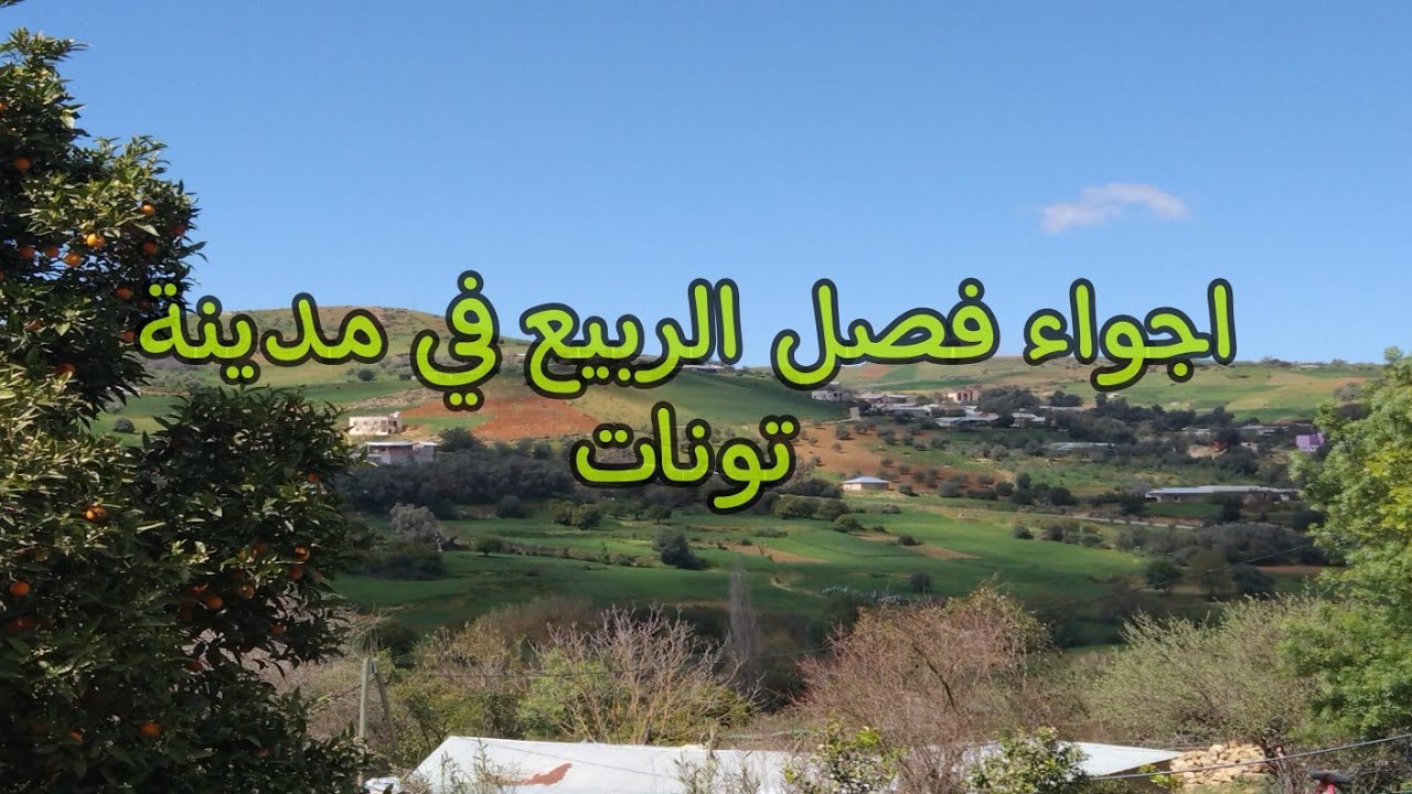 مناظر طبيعية للربيع في البادية (تونات) 👍