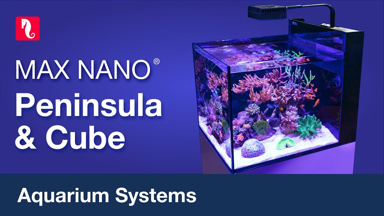 MAX NANO Peninsula & Cube – minimum hassle, maximum peace of mind