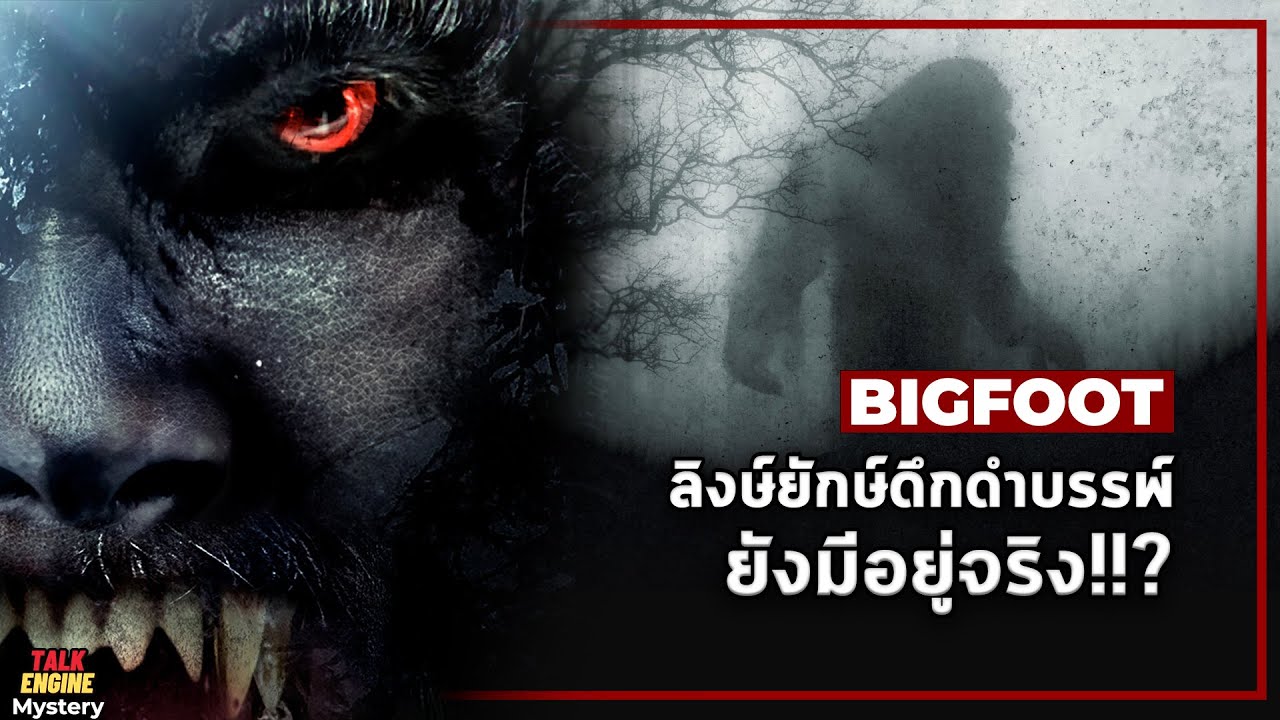 ลิงยักษ์ดึกดำบรรพ์ ยังมีอยู่จริงหรือไม่? l BigFoot อสุรกายตีนโต