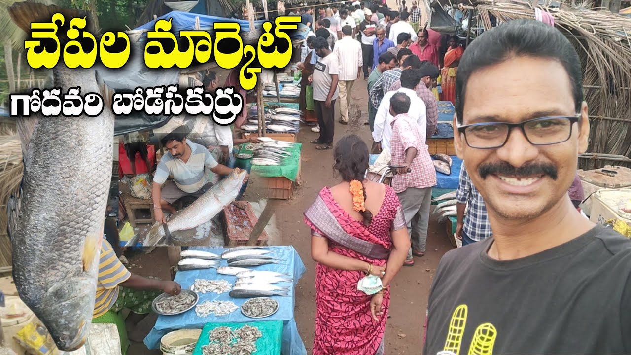 చేపల మార్కెట్ గోదావరి బ్రిడ్జి బోడసక్కుర్రు Fish market Godavari bridge bodasakurru