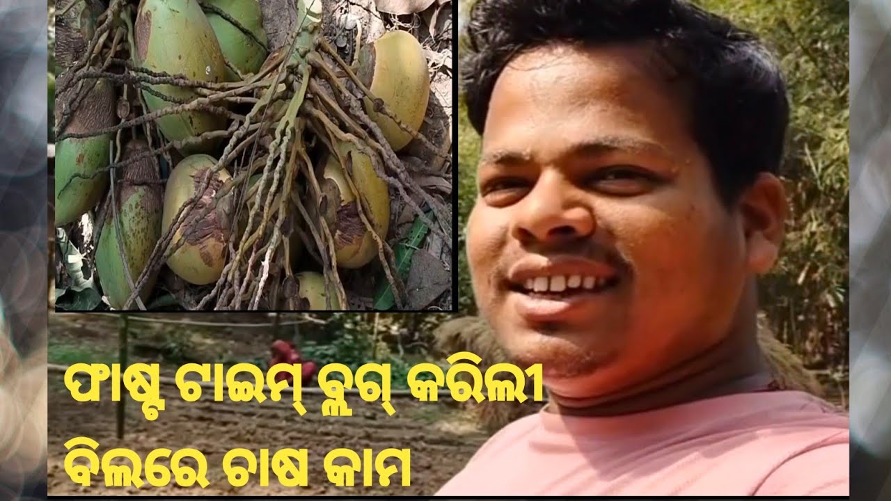ଫାଷ୍ଟ ଟାଇମ୍ ବ୍ଲଗ୍ କରିଲୀ ବିଲରେ ଚାଷ କାମ