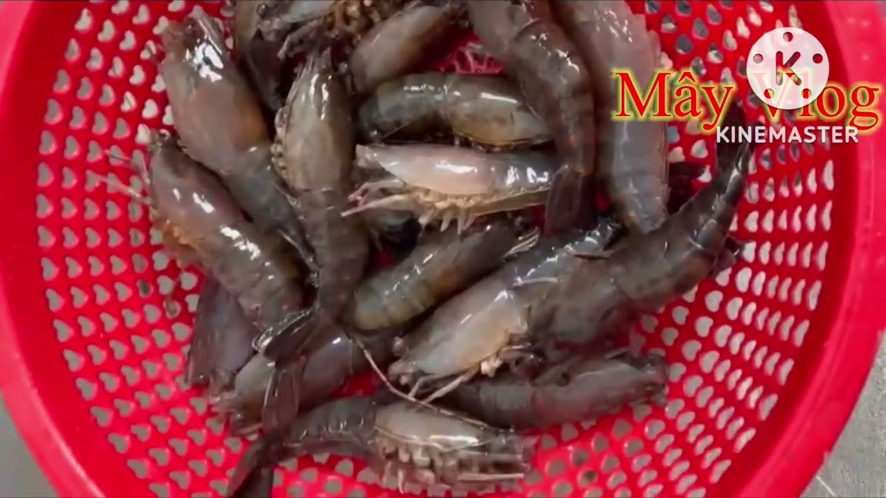 @Mây VLog | Bánh đúc tôm càng | món quen mà lạ| 