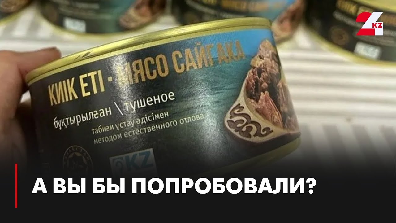Консервы из мяса сайги начали выпускать в ЗКО