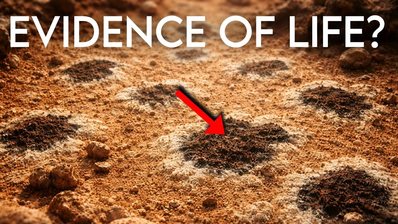 Leopard Spots on Mars? The Discovery That Could Rewrite History