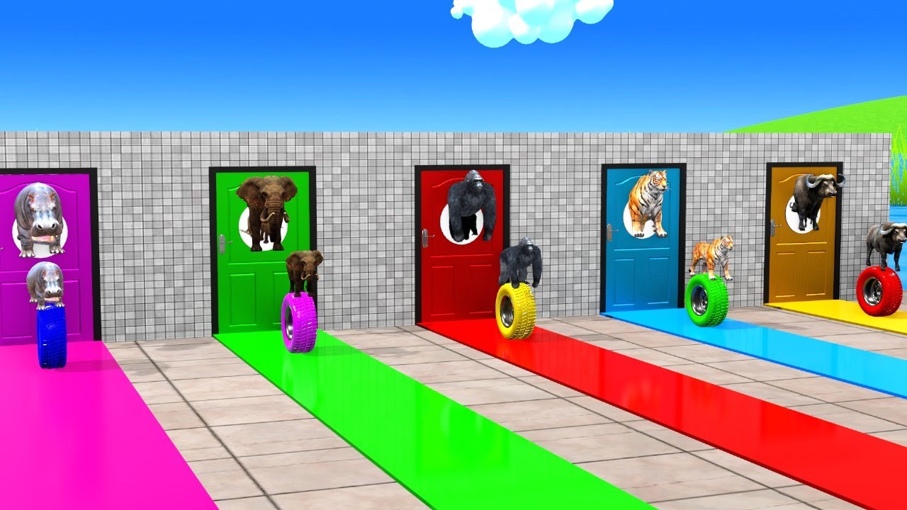 Long Slide Game With Haina Gorila Elephant Baffalo Hippotiamus Tiger 3D Animals Funny Game