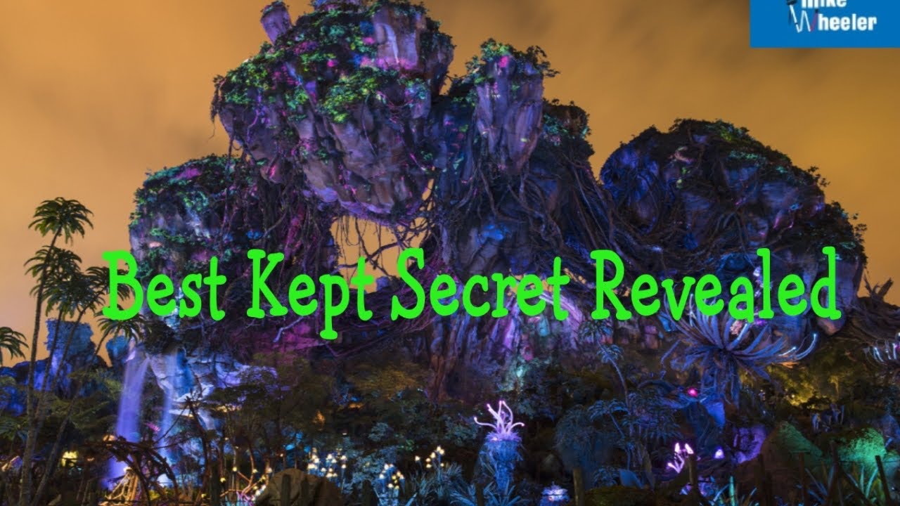 Best Kept Secret of Flight of Passage | Pandora the World of Avatar | A Blind Persons Perspective