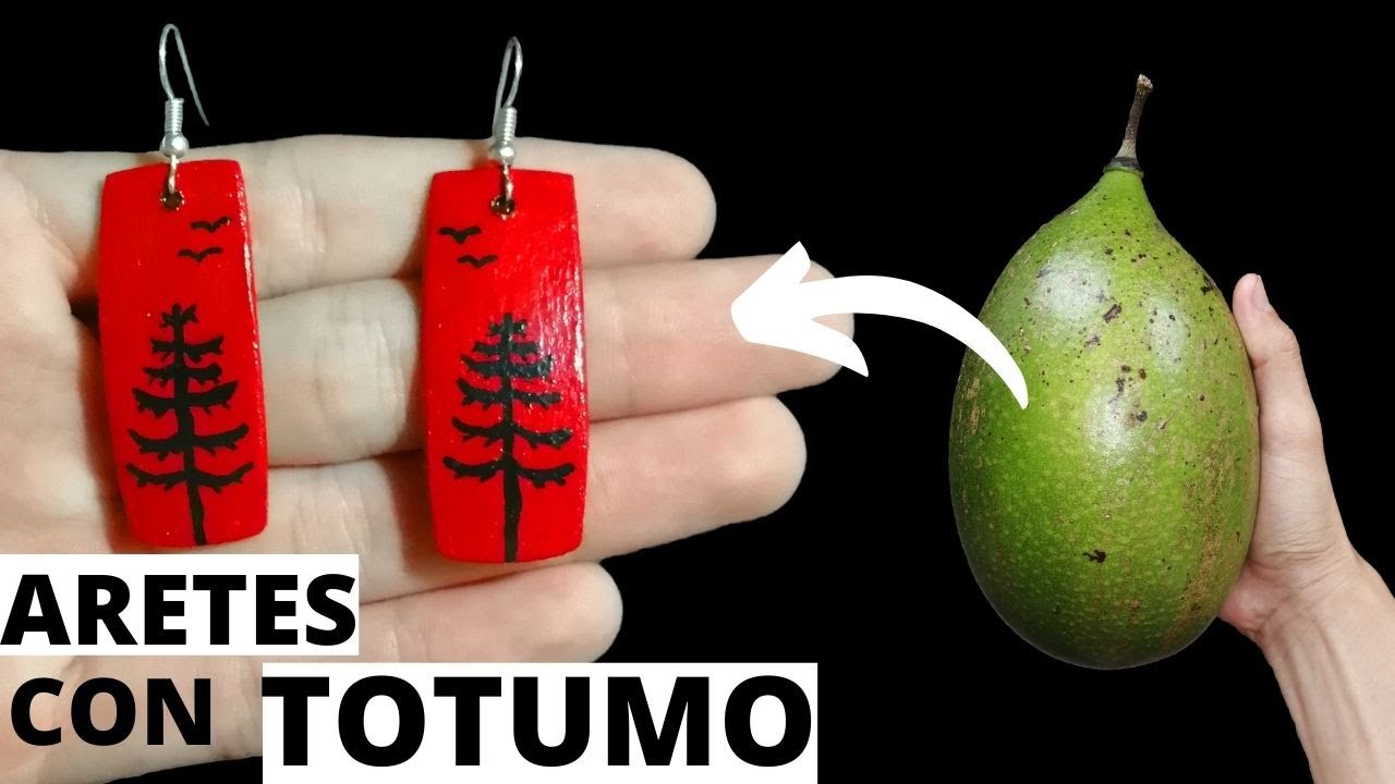 Como hacer unos ARETES Artesanales  paso a paso