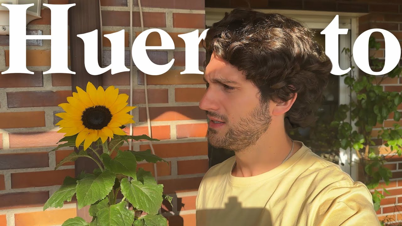 Compro Plantas de Huerto y Caprichito...🌻