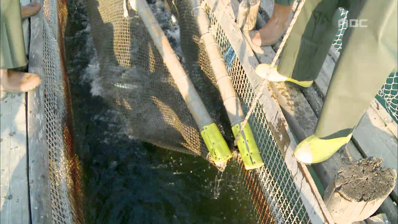 Travel the world - Son Chang-min, Turkey(3) #07, Dalyan fishing grounds, 손창민, 터키(3) 달