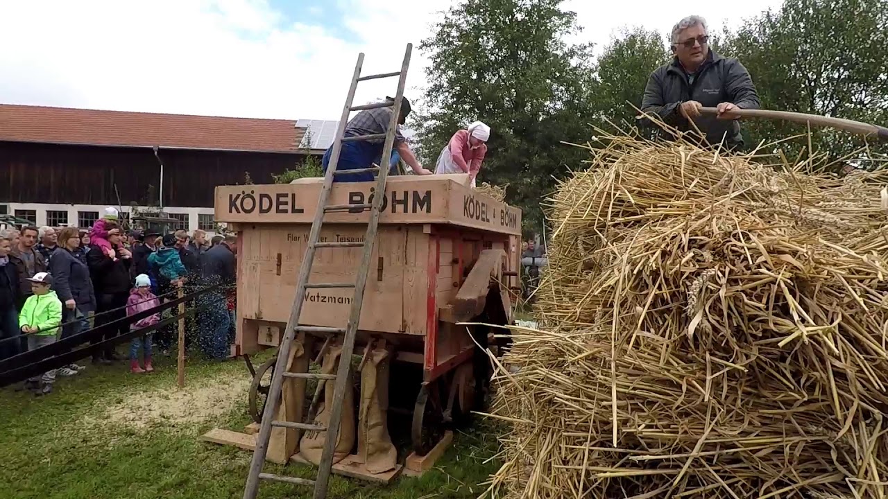 Bulldogtreffen in Neudorf bei Hörpolding 2017