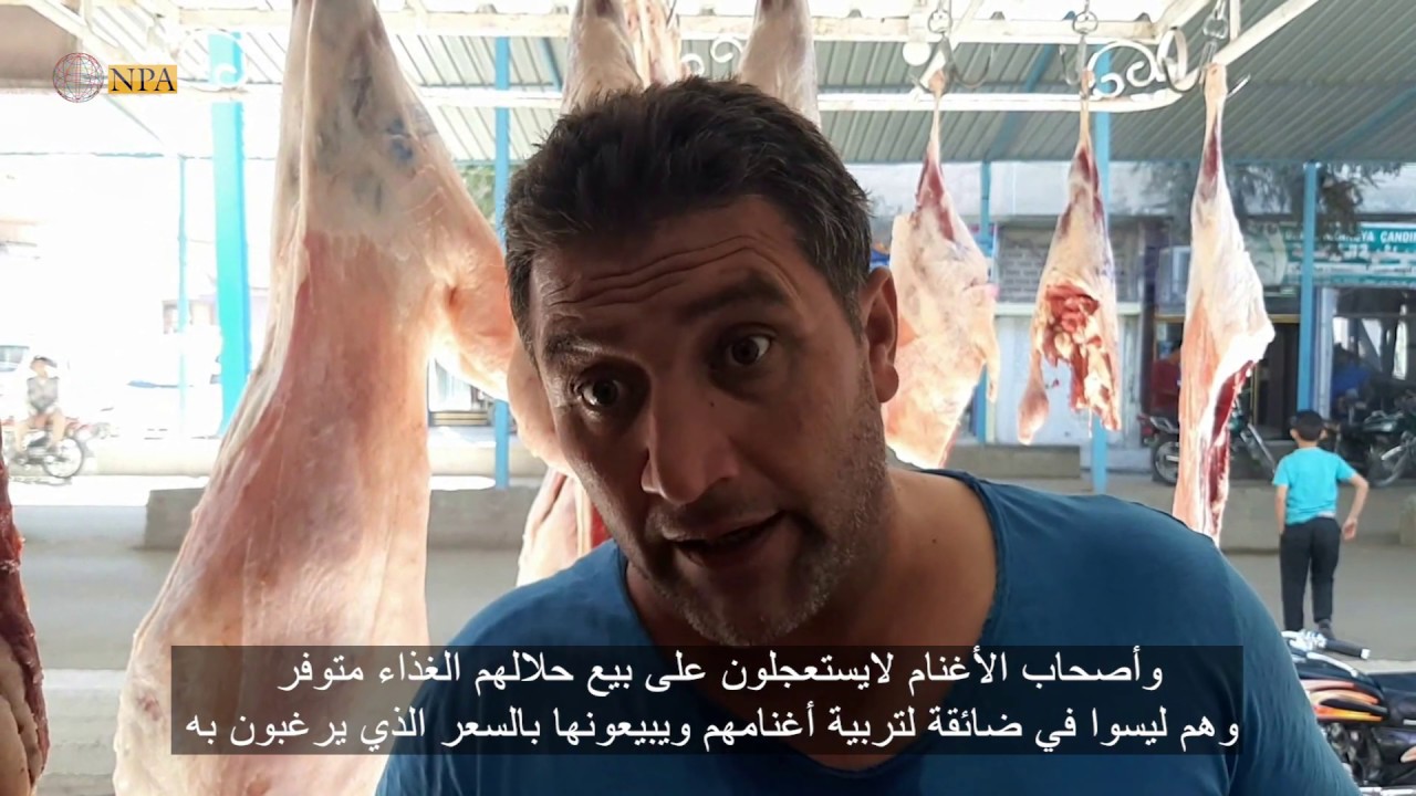 سري كانيه / رأس العين – واقع لحوم الأغنام وأسباب ارتفاع أسعارها في سوق مدينة رأس العين – NPA