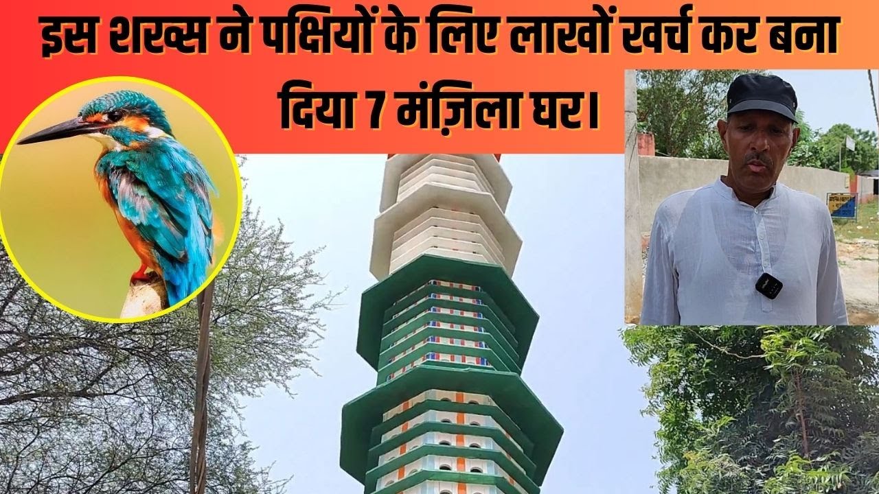 Charkhi Dadri Bird Tower | 7 मंजिल, 700 फ्लैट का 4000 परिंदों का यहां बना अनोखा Bird Tower|#local18