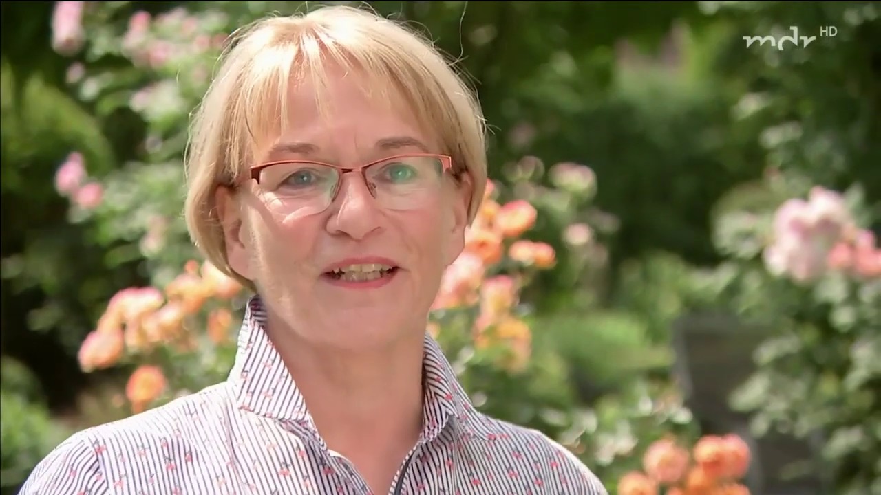 Wenn Romantik auf gute Planung trifft | MDR Garten