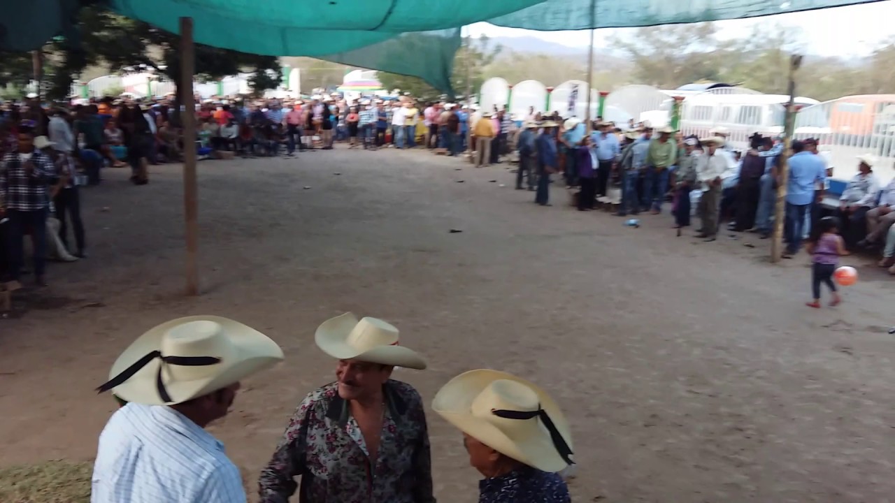 DESTINO CRUEL CANTA EL PALOMO