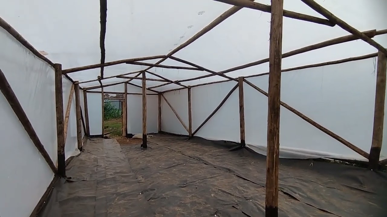SOLAR DRYER FOR CHICKEN DROPPINGS