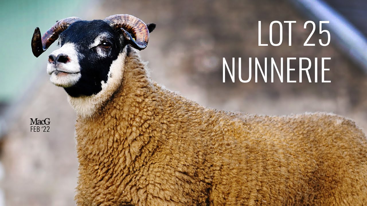 LOT 25 - Nunnerie
