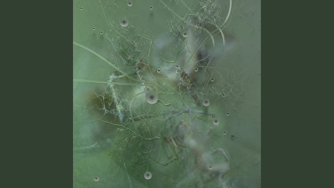 Winged (Priori Rezone)