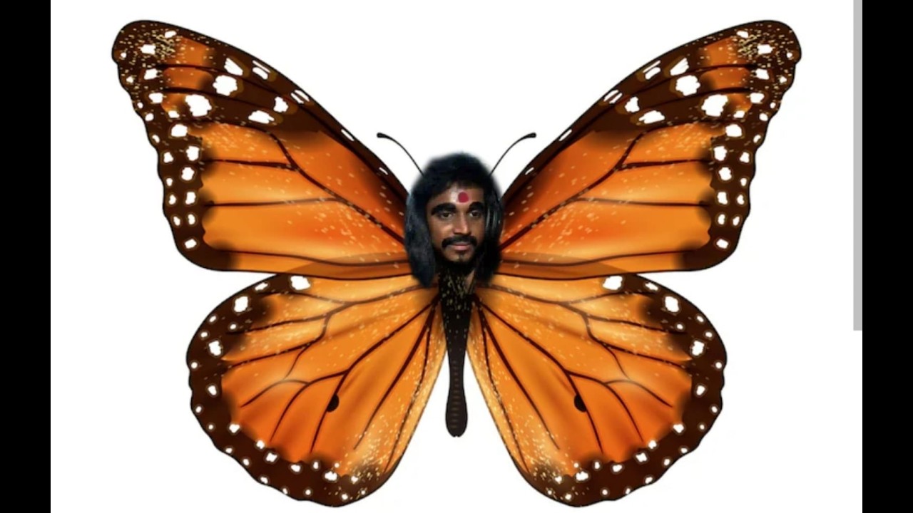 DAY 1 OF 6 HOURS LIVE | BUTTERFLY EVENT OR THAR PAHI EVENT ?  #bgmilive #tamilbgmilive #ravensharp