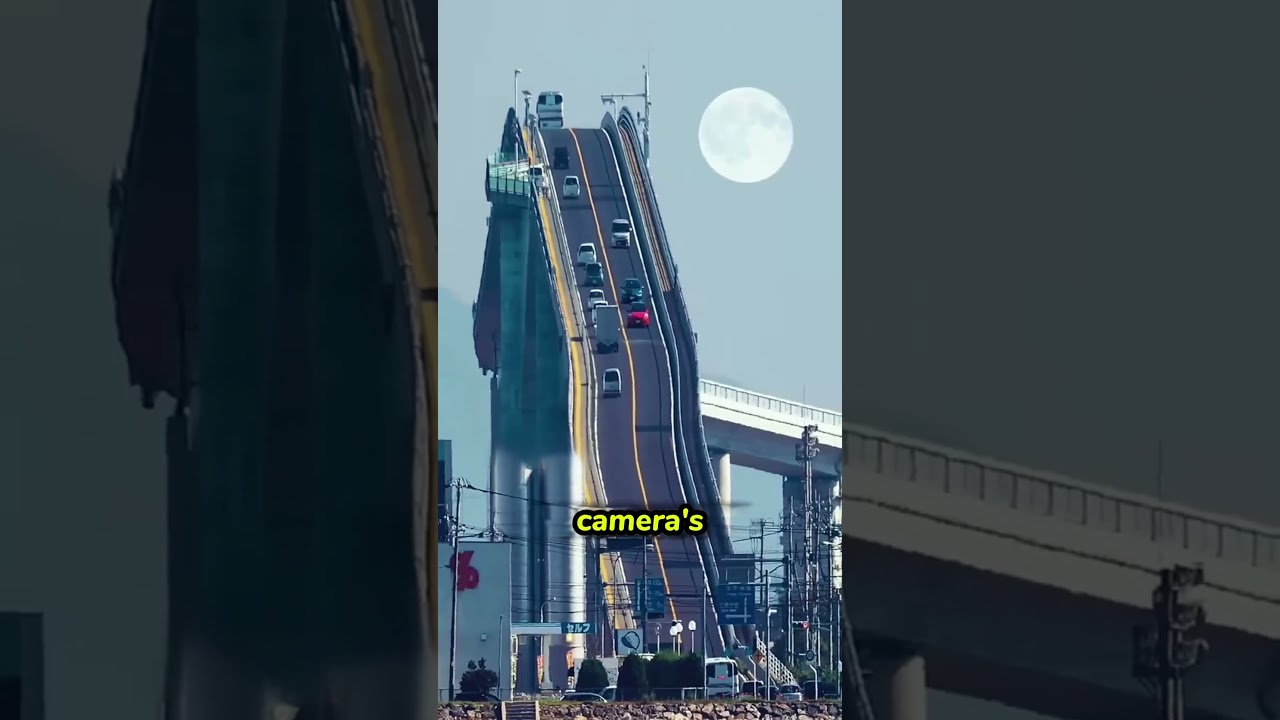 These bridge designs are absolutely genius 💡 #architecture #innovation