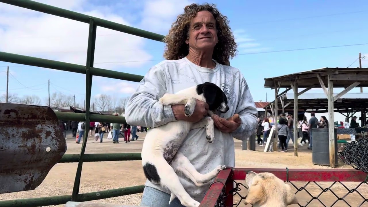 Flea market in Ripley, MS #video #dog #animals