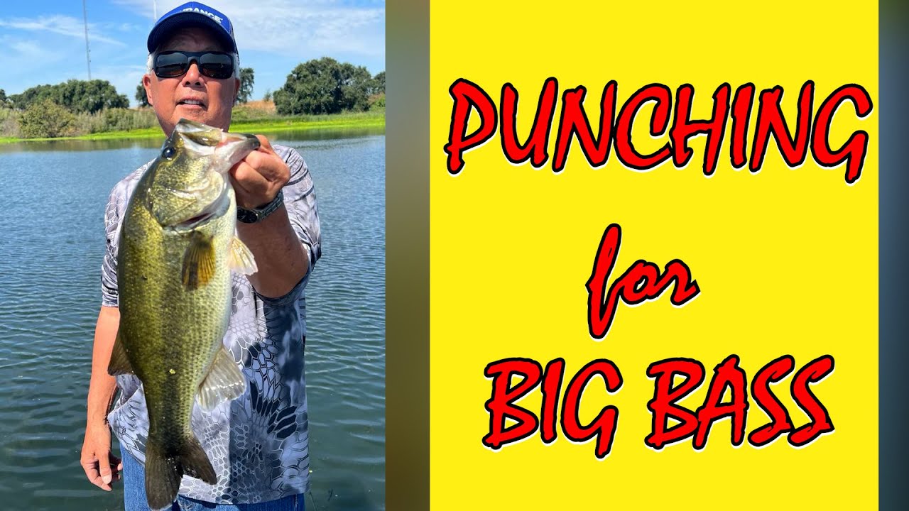 Punching for Big Bass - BUST THROUGH Mats!
