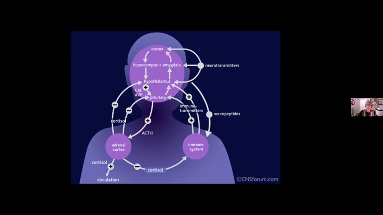 Guided Imagery Overview