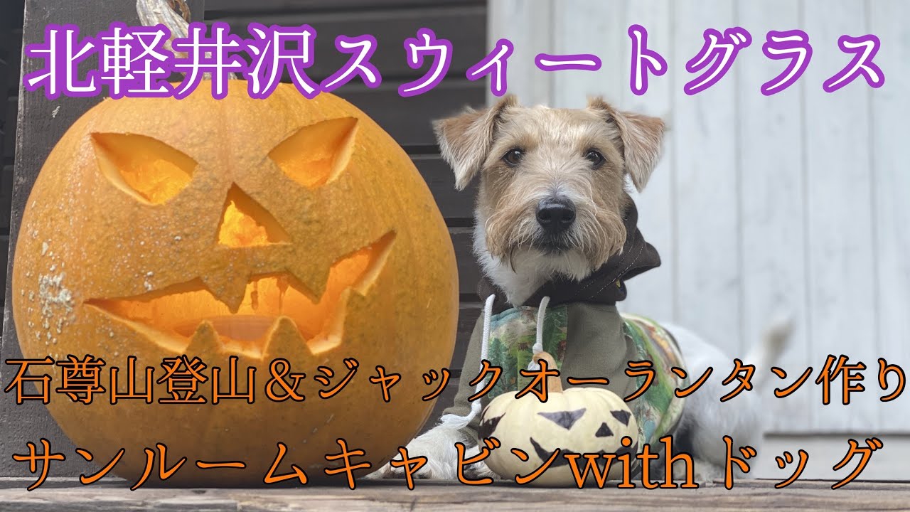 北軽井沢スウィートグラス　石尊山犬連れハイク　ジャックオーランタン作り