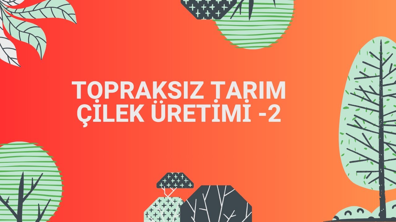 TOPRAKSIZ TARIM | ÇİLEK ÜRETİMİ -2