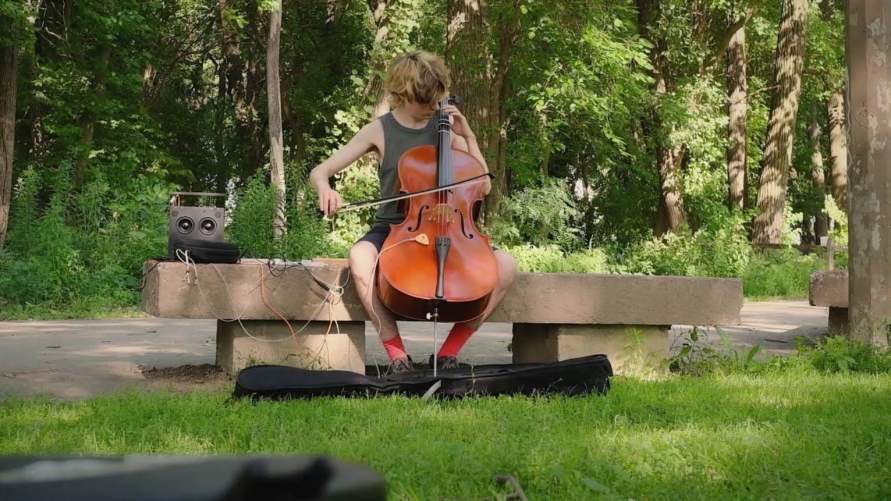 picnic clips